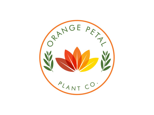 Orange Petal Living